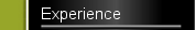 Experience